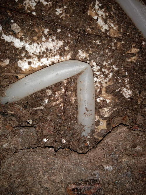 康县堵点精准查找